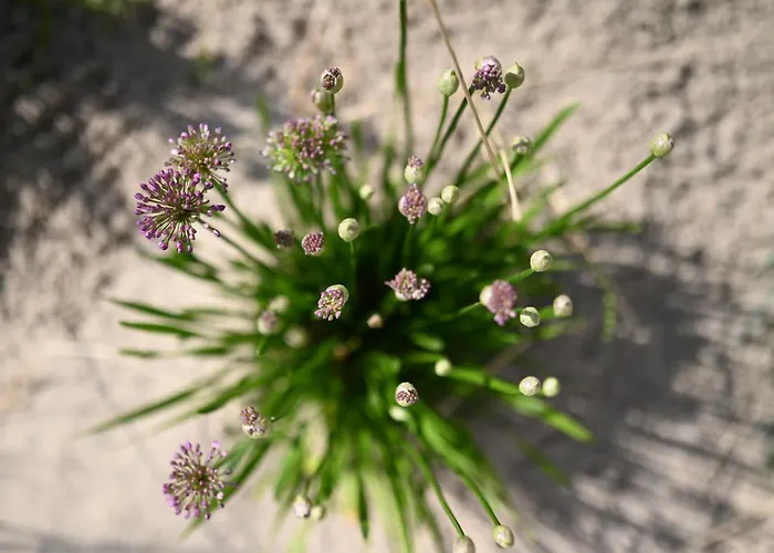 Hébergement de vacances Bi De Bark